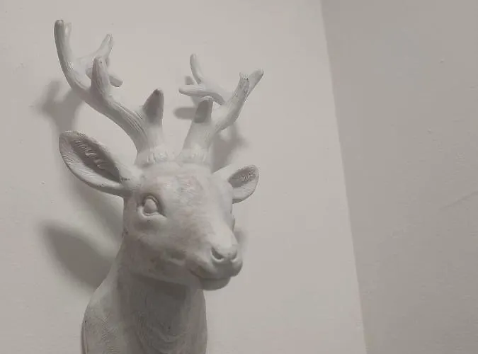 Daire De Lujo En Sierra Nevada