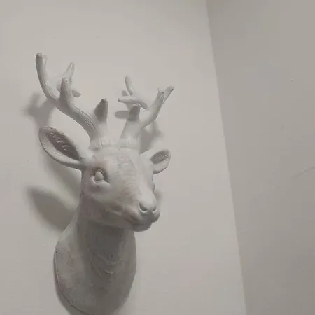 Appartamento De Lujo En Sierra Nevada