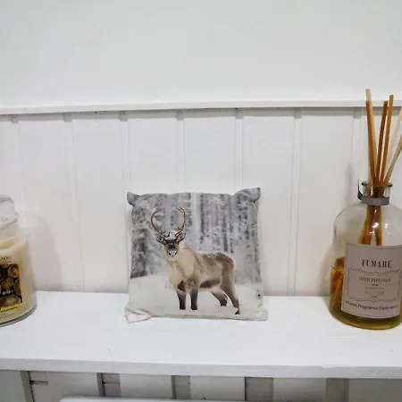 De Lujo En Appartamento